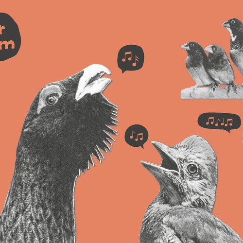 erfurter songslam - erfurter-songslam.jpg