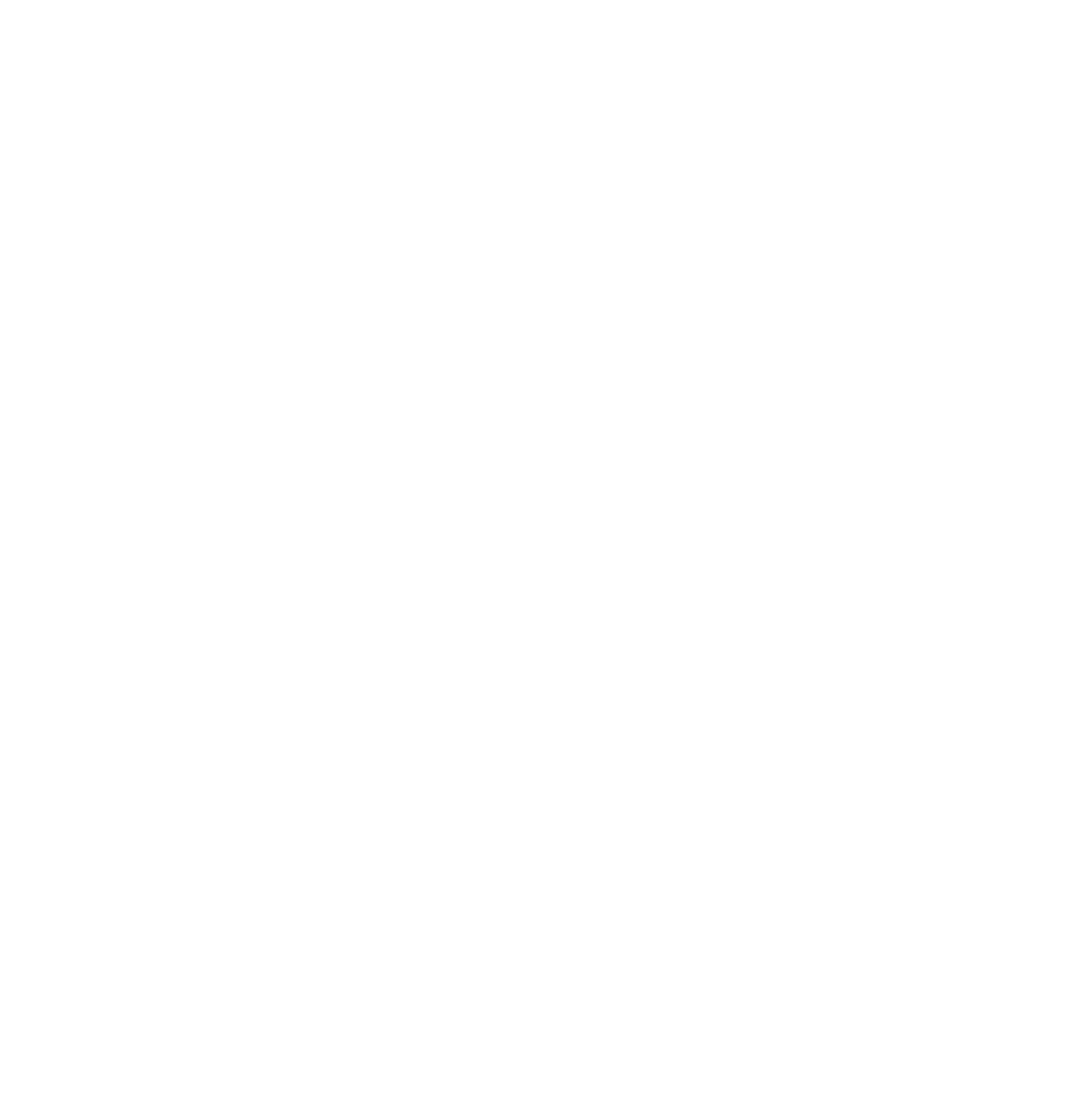 bermudazweieck logo weiss - bermudazweieck_logo_weiss.png